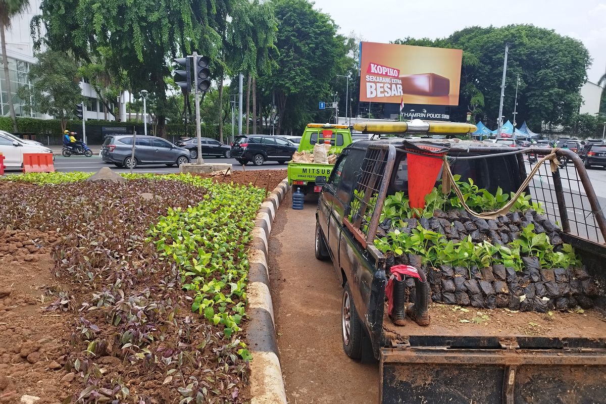 Sejumlah tumbuhan siap ditanam di jalur hijau Bundaran HI, Jakarta Pusat, Senin (8/1/2024).
