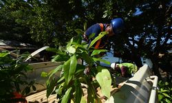 Lewat AGS, Antam Kelola Lingkungan di Maluku Utara secara Berkelanjutan