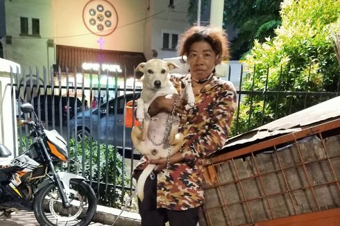 Kisah Viral, Seorang Ibu Tinggal di Gerobak bersama Anjing dan Kucing di Pasar Baru