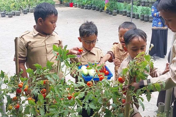 Cerita SDN Purwosari Sleman DIY, Ajari Siswa Berkebun dari Ratusan Galon Bekas