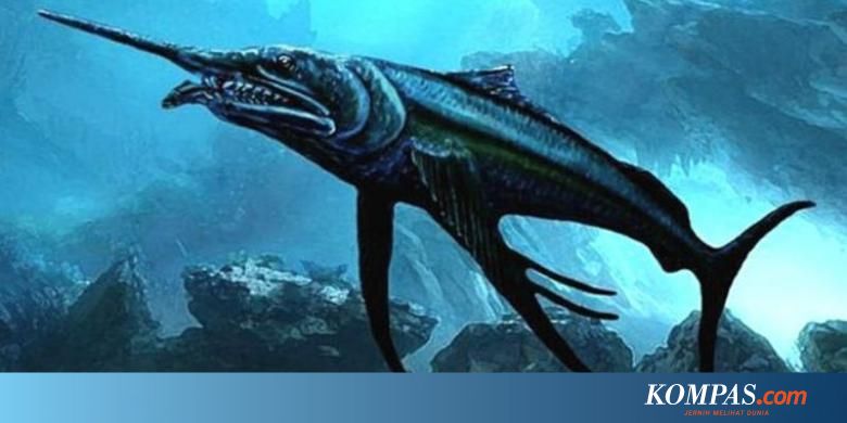 Fosil Ikan Pedang Purba Ditemukan Di Pedalaman Australia