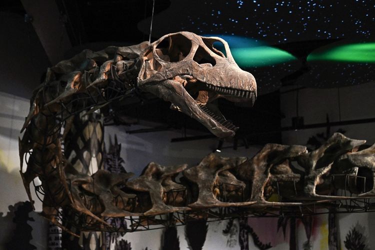 Fosil Dinosaurus Terbesar di Asia Tenggara Ditemukan, Beratnya Setara 9 Gajah