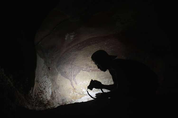 Lukisan gua tertua di dunia menggambarkan babi kutil Sulawesi yang dilukis di dinding goa Leang Tedongnge berumur 45.500 tahun yang lalu. Lukisan prasejarah tertua di dunia ini mengungkapkan sejarah migrasi manusia purba modern, Homo sapiens di Nusantara, Indonesia.