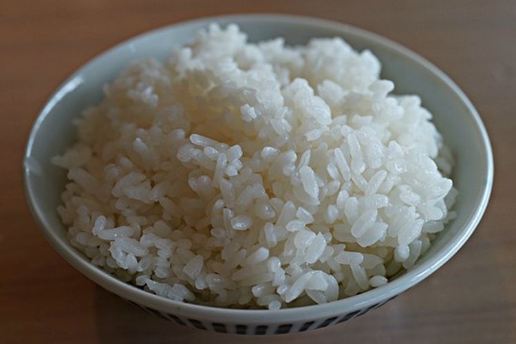 Ilustrasi nasi sisa yang bisa diolah menjadi pupuk dan pestisida