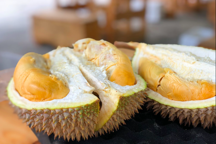 Durian illustration. Can people with high cholesterol eat durian?