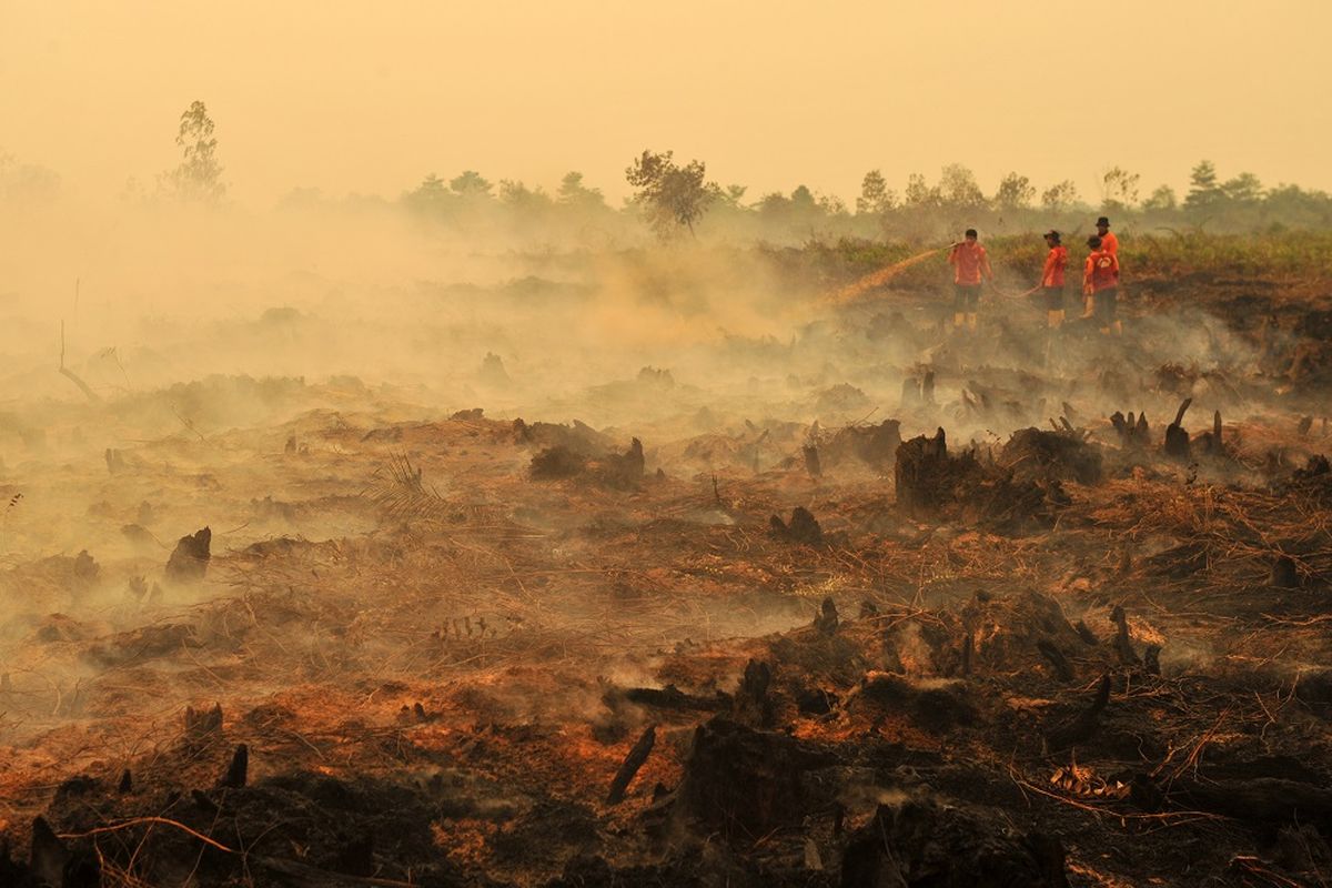 Petugas SAR Direktorat Sabhara Polda Jambi memadamkan kebakaran lahan gambut milik salah satu perusahaan di Puding, Kumpeh Ilir, Muarojambi, Jambi, Rabu (11/9/2019). Asap kebakaran hutan dan lahan di Provinsi Jambi telah mengakibatkan aktivitas belajar mengajar di beberapa kota/kabupaten setempat terganggu dan terpaksa diliburkan, sementara upaya pemadaman masih terus dilakukan sejumlah pihak. ANTARA FOTO/Wahdi Septiawan/foc.