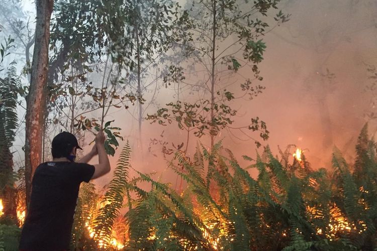 Seorang warga memadamkan api yang membakar lahan di sebuah Kecamatan Sungai Raya, Kabupaten Kubu Raya, Kalimantan Barat,  dengan peralatan seadanya, Kamis (19/9/2019) sore.