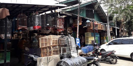 Pasar Burung Pramuka yang terletak dekat saluran air menuju Kali Sentiong atau Kali Item, Jumat (3/8/2018).