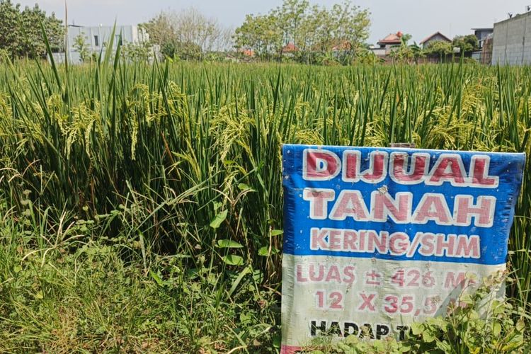 Mengapa Tanah yang Dimenangkan di Pengadilan Sulit Balik ke Pangkuan?