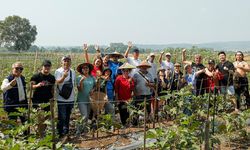 FDKJ Perkuat Ketahanan Pangan lewat Pemberdayaan UMKM Hortikultura di Jonggol