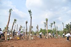 Jaga Kelestarian Lingkungan, Sinar Mas Tanam Ratusan Pohon di Jabodetabek