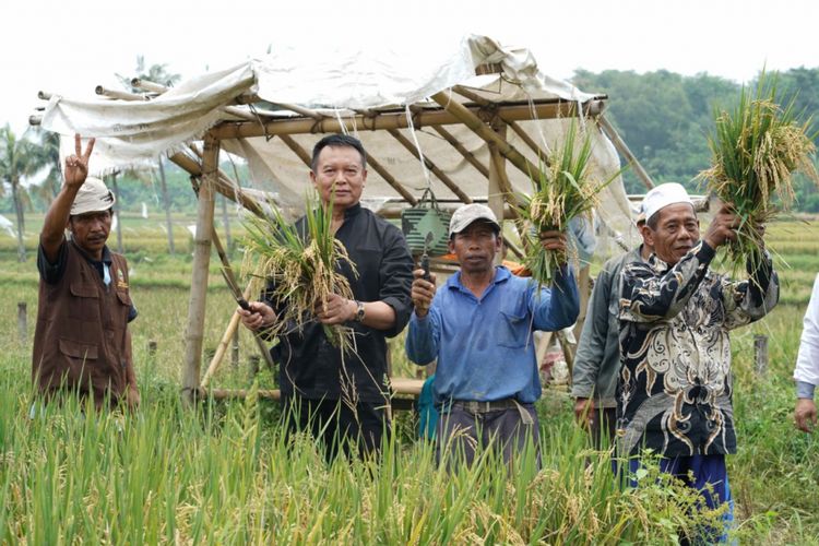 Calon Gubernur (Cagub) Jawa Barat TB Hasanudin menemui Petani Di Cilangkap, Kecamatan Sukamulia, Kabupaten Purwakarta, Rabu (7/3/2018).