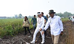 Cegah Karhutla Pada 2020, Komisi IV DPR RI Usulkan Beberapa Cara 