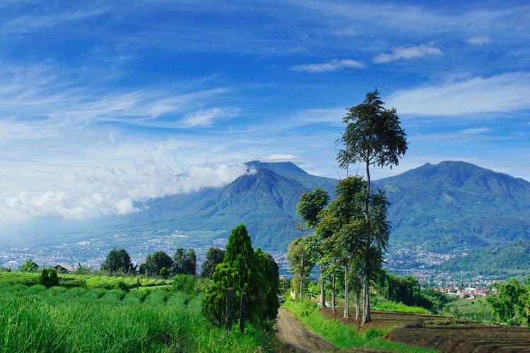 Pemandangan Gunung Arjuno dari kejauhan.