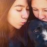 Sinopsis Pick of the Litter, Dokumenter Anjing Penuntun Tunanetra