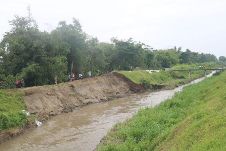 Kondisi tanggul Sungai Konto di sebelah selatan jembatan Kayen yang kritis dan tergerus. Sejak Senin (22/2/2021), warga Dusun Kayen, Desa Kayen, Kecamatan Bandar Kedungmulyo, Kabupaten Jombang, Jawa Timur, secara swadaya melakukan penambalan darurat.