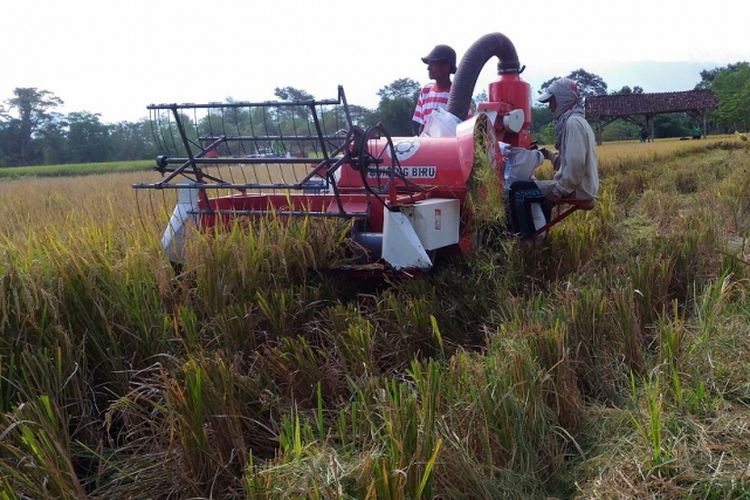 Petani di Kabupaten Bondowoso memanen padi dengan menggunakan alat mesin pertanian bantuan dari Kementerian Pertanian, Selasa (22/5/2018)