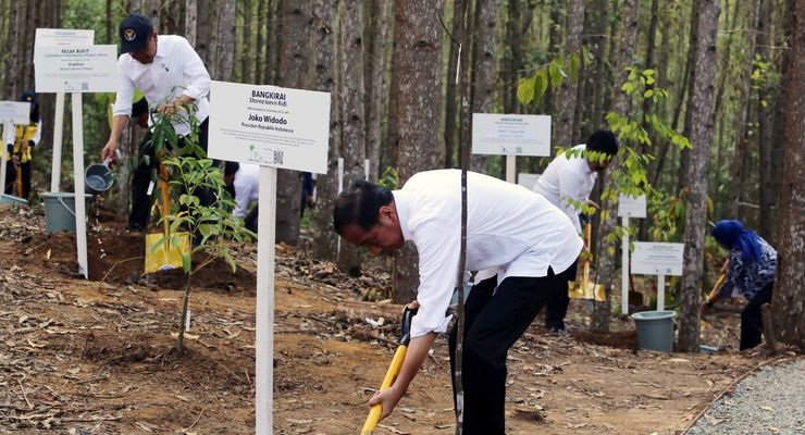 Menuju Nusantara Netral Karbon 2045, OIKN Siapkan 5 Strategi