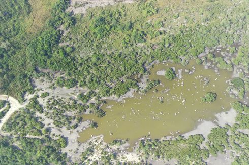 Taman Tsunami Tanjung Lesung