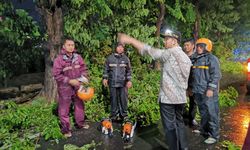 Jatim Diterjang Hujan Angin, Emil Dardak Tinjau Wilayah Terdampak