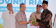 GNPIP Diresmikan, Pemprov Riau Tanam Ribuan Cabai untuk Kendalikan Inflasi 