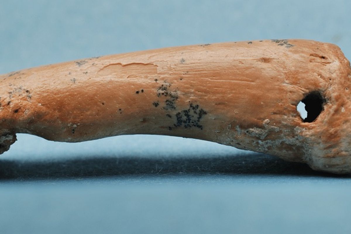 Tulang kuskus yang menjadi bagian liontin beryusia 22.000 tahun di Sulawesi.