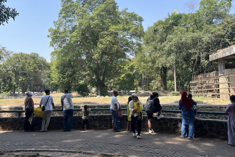 Pengunjung Tak Masalah Harga Tiket Ragunan Naik, Asal Fasilitas Nyaman dan Satwa Terawat