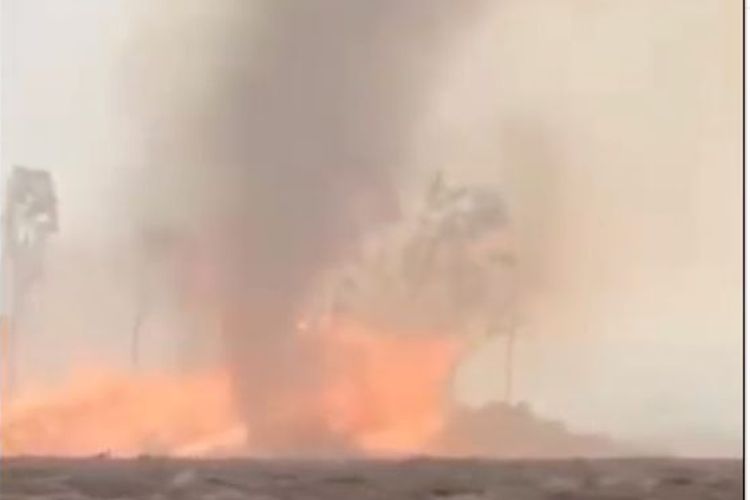 Ramai Video Tornado Api Muncul di Merauke, Benarkah? Ini Penjelasan BMKG