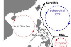 Arus Kuroshio: Arus yang Mengalir di Peraiaran Jepang