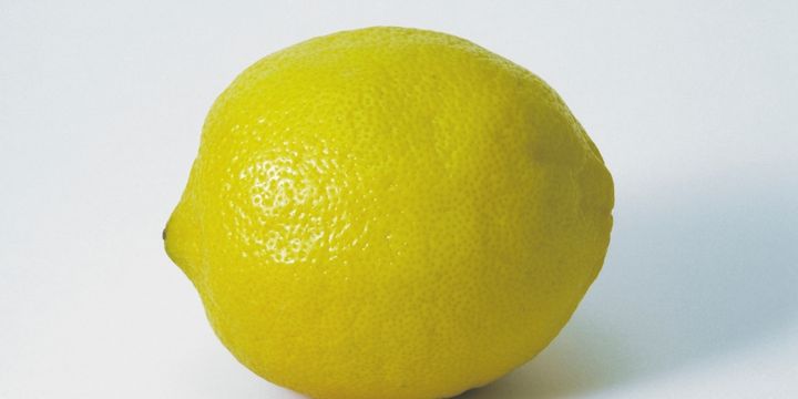 Ilustrasi buah lemon.