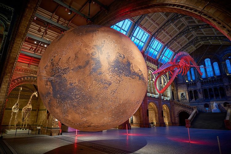 Instalasi seni planet Mars karya seniman Inggris bernama Luke Jerram yang digantung di Hintze Hall, Natural History Museum London (dok. Natural History Museum)