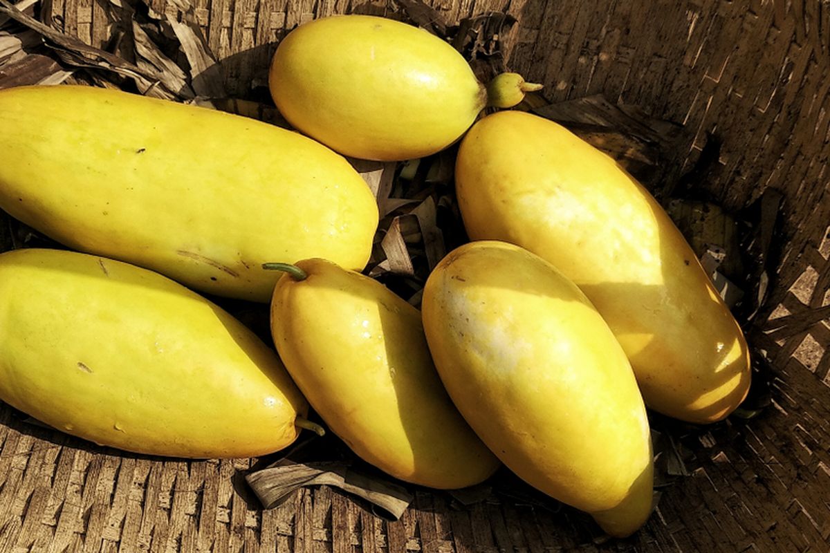 Ilustrasi timun suri. 