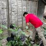 Reaksi Pratama Arhan Rumah Masa Kecilnya di Blora Direnovasi