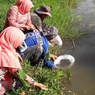 Mitos Menangkap Ikan Larangan di Sumatera Barat dan Papua, Musibah bagi Pelakunya