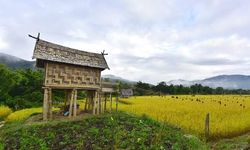 Indeks Pembangunan 17 Desa Meningkat, Luwu Utara Bebas dari Desa Sangat Tertinggal