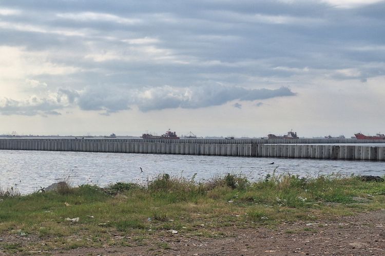 Pakar IPB Ingatkan Risiko Ekologi dari Proyek Beton Laut Cilincing