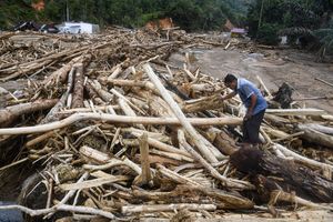Gelondongan Kayu di Banjir Sumatera Bukti Kerusakan Hutan Sistemik, Bukan Sekadar Anomali Cuaca