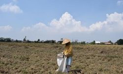 Kementan dan BMKG Siapkan 2 Strategi untuk Antisipasi Cuaca Ekstrem