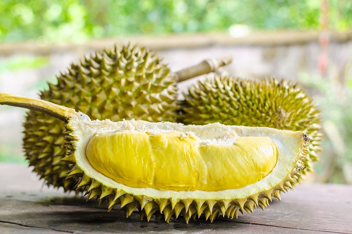 Ilustrasi buah durian