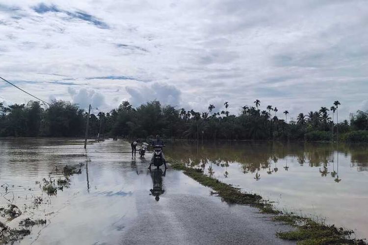 Warga melintas di area persawahan Desa Matang Sijuek, Kecamatan Baktiya, Kabupaten Aceh Utara, Provinsi Aceh yang terendam banjir, Senin (10/10/2022)