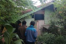  Polisi Geledah Rumah Penjual Tanaman Hias di Palembang      