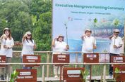 Perkuat Komitmen ESG, Viva Apotek Tanam Mangrove di Angke