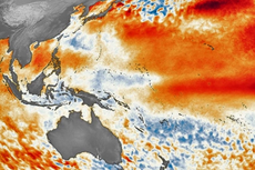 Apakah Dampak Fenomena El Nino pada Suhu Global?