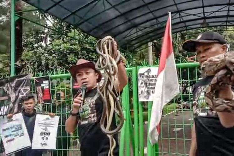 Tangkapan layar video viral aksi Steve Ewon membawa ular ke depan kantor KLHK RI, Rabu (15/3/2023).