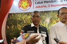 Kementan Pastikan Stok Cabai Nasional Aman hingga Akhir Tahun