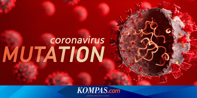 2 Pasien Positif Virus Corona Asal India di Tangsel Diduga Tertular dari Anaknya di Jakarta - Vimarsana News
