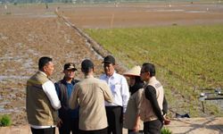 Renduk Pascabencana Bawa Harapan Baru bagi Petani dan Ketahanan Pangan Berkelanjutan