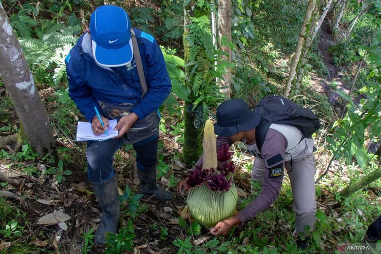 7 Jurusan Sepi Peminat di SNBT, Prospek Kerja Cerah di Masa Depan
