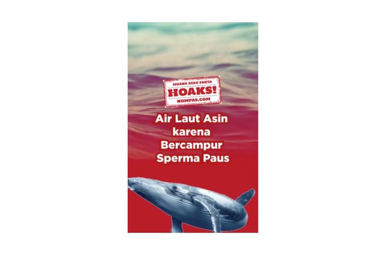 Hoaks! Air laut asin karena bercampur sperma paus.