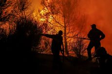 MUI Keluarkan Fatwa Deforestasi dan Membakar Hutan